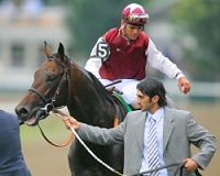 Bernardini