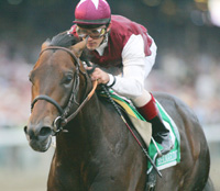 Bernardini