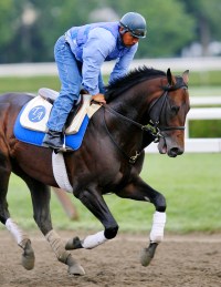 Bernardini