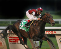 Bernardini