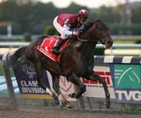 Bernardini