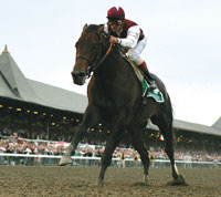 Bernardini