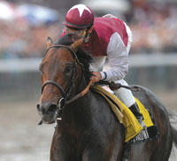 Bernardini
