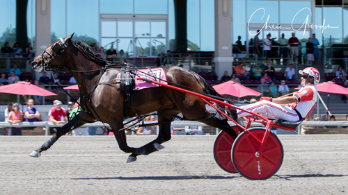 Bestseller Hanover 7/7/18