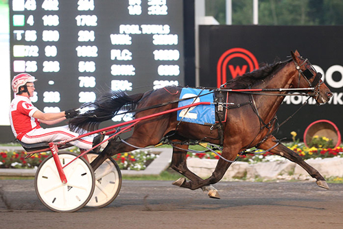 Bettor At Hightide 7/6/19