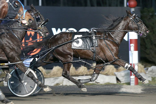 Bettors Donttell 3-26-21