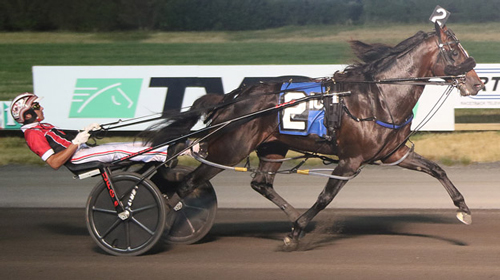 Bettor's Wish 7/4/20