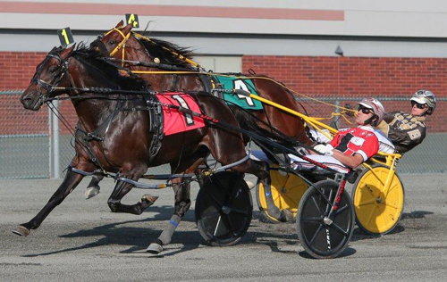 Bettor's Wish 8/24/19