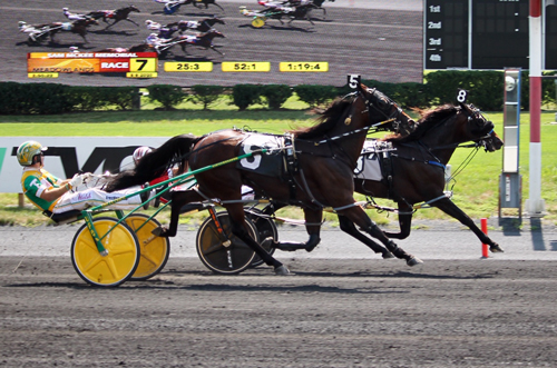 Bettor's Wish 8/8/20