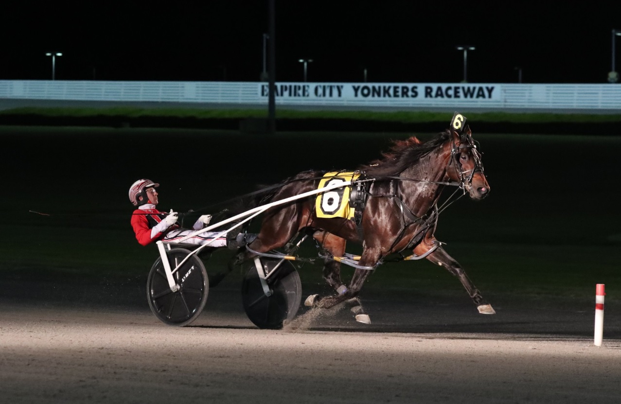 Bettor's Wish 5/25/19