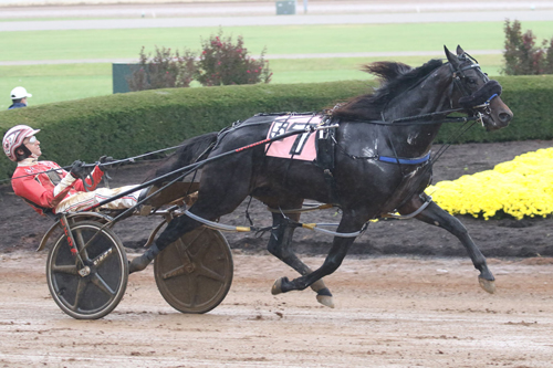 Bettor's Wish 10/11/20