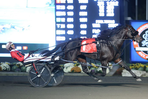 Bettor's Wish 10/19/19