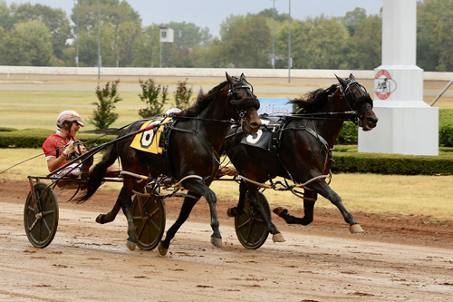 Bettor's Wish 10/6/19