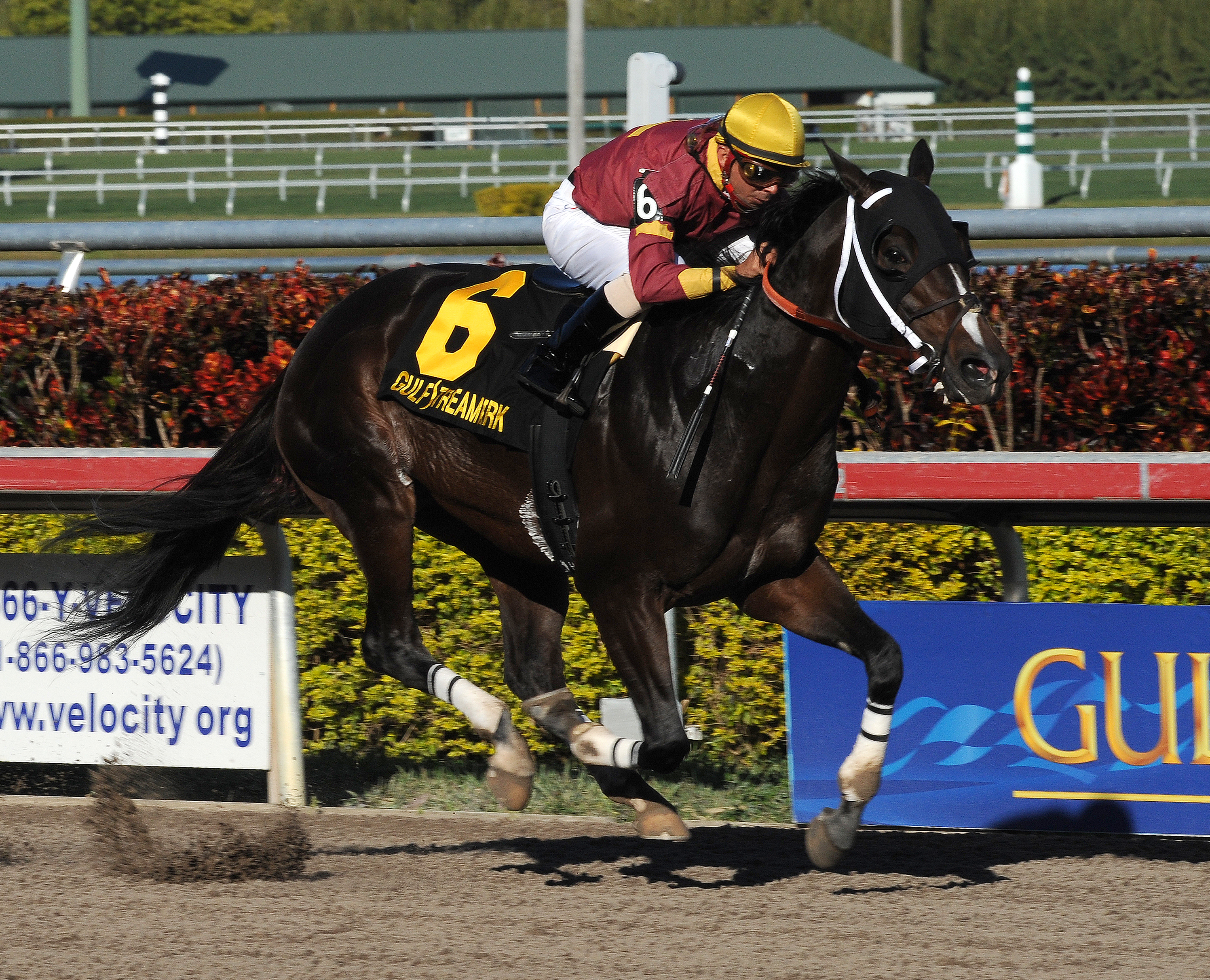 Big Drrama 1-15-2011