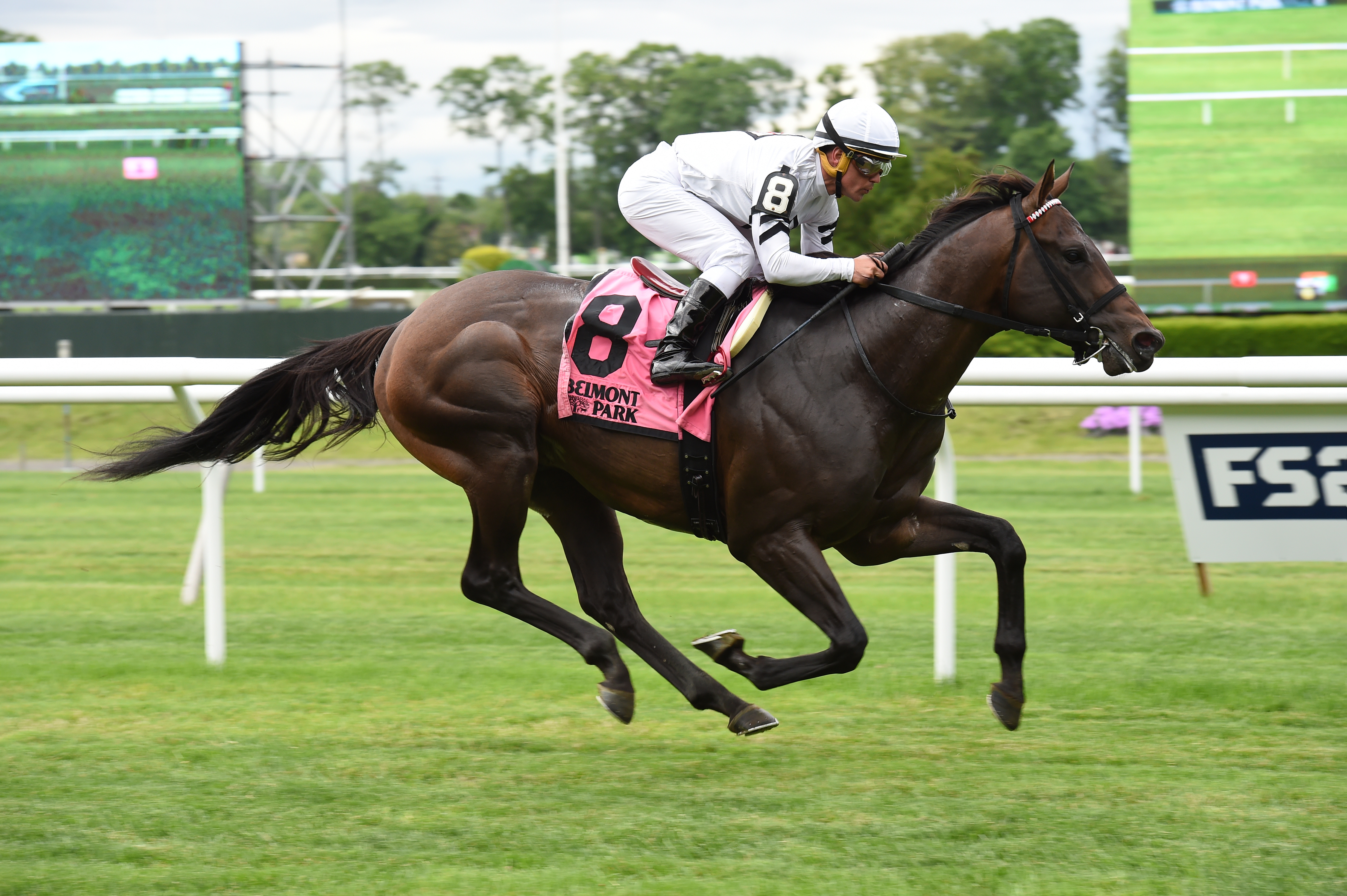 Big Handsome wins the Paradise Creek