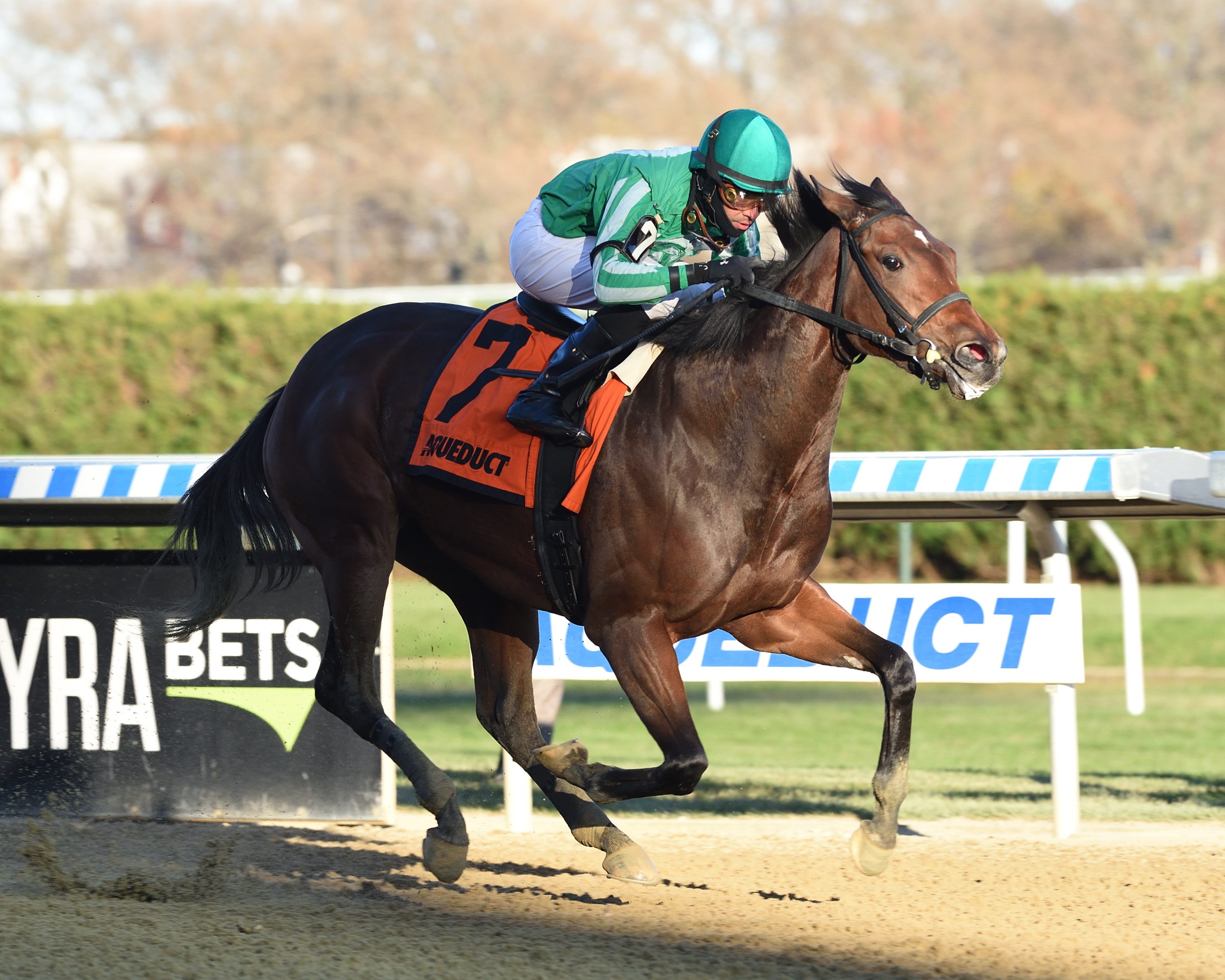 Big Q wins the 2019 Key Cents Stakes