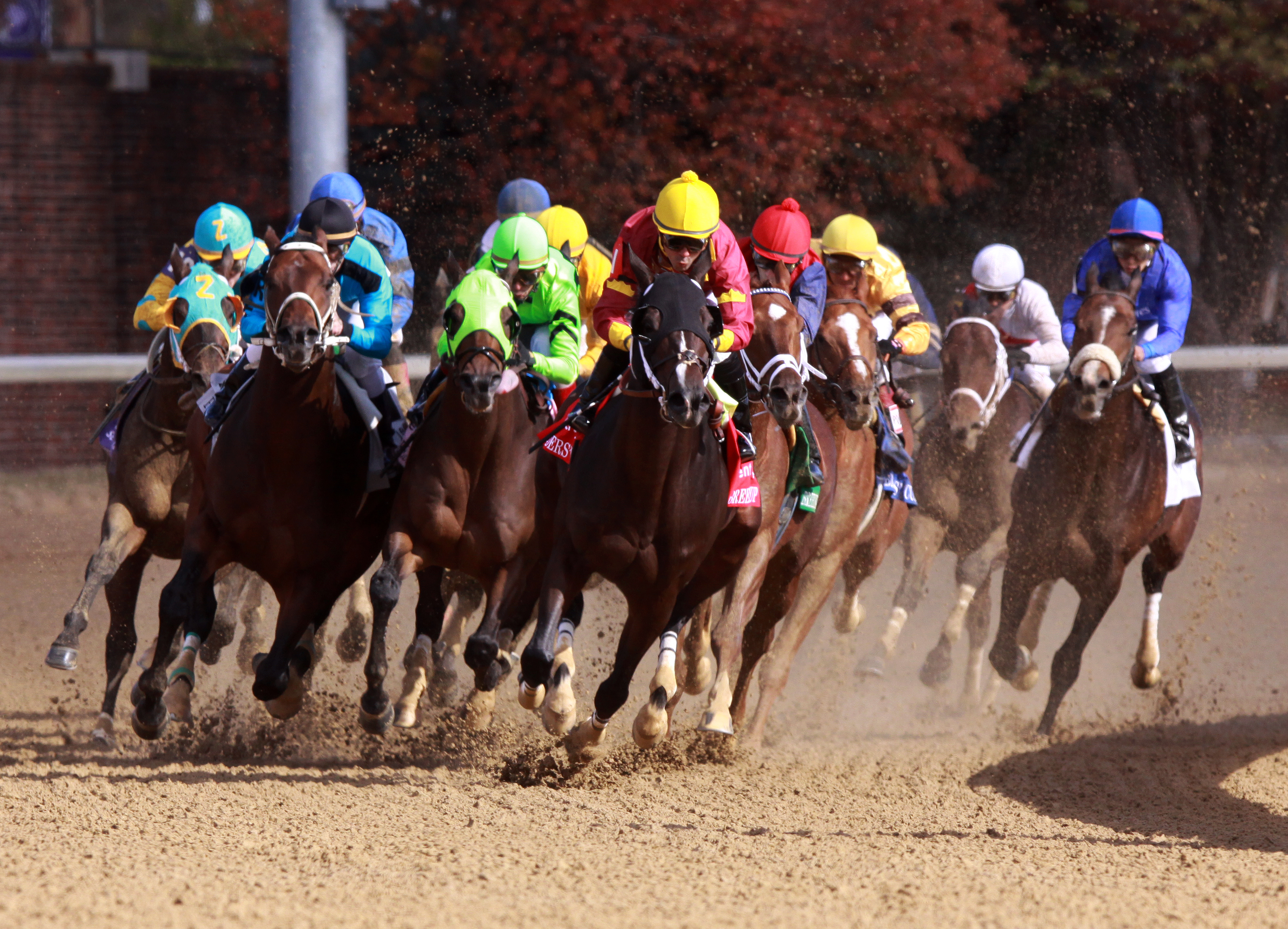 Big Drama/BC Sprint