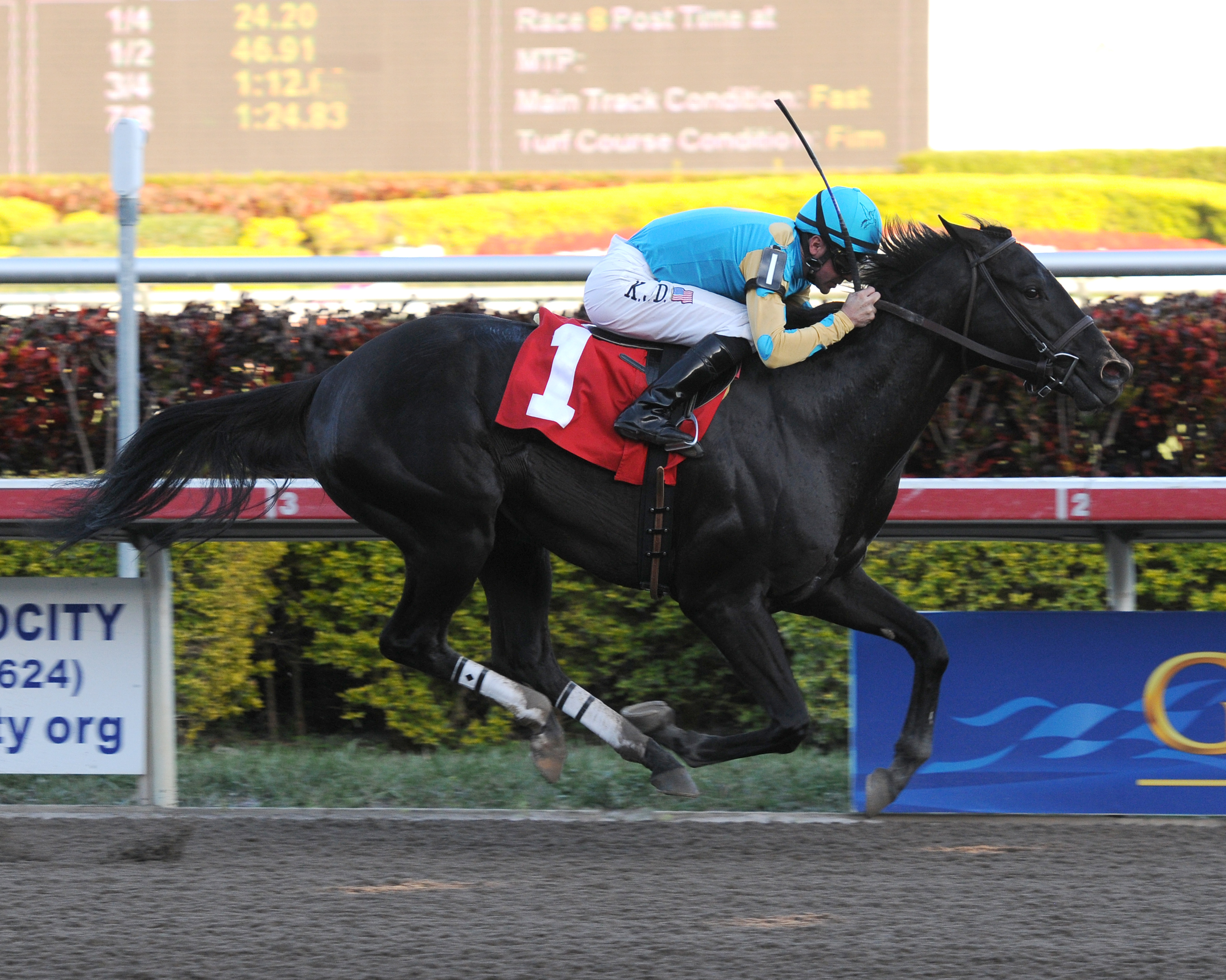 Black N Beauty, 1-7-2011 allowance win at Gulfstream