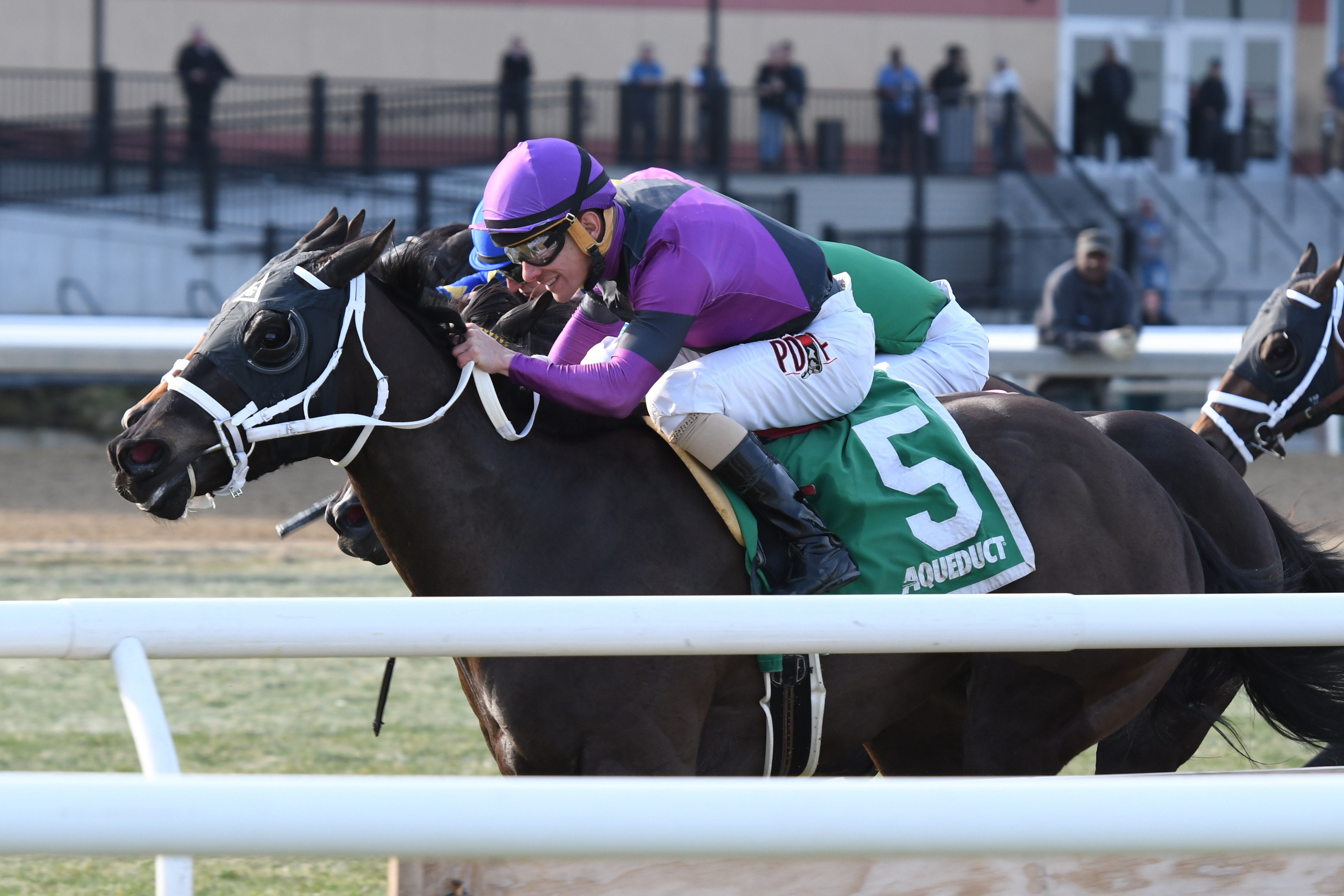 Black Stetson wins the 2018 Bridgetown