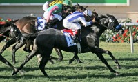 Blackdoun