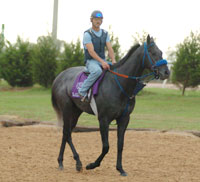 Blackdoun