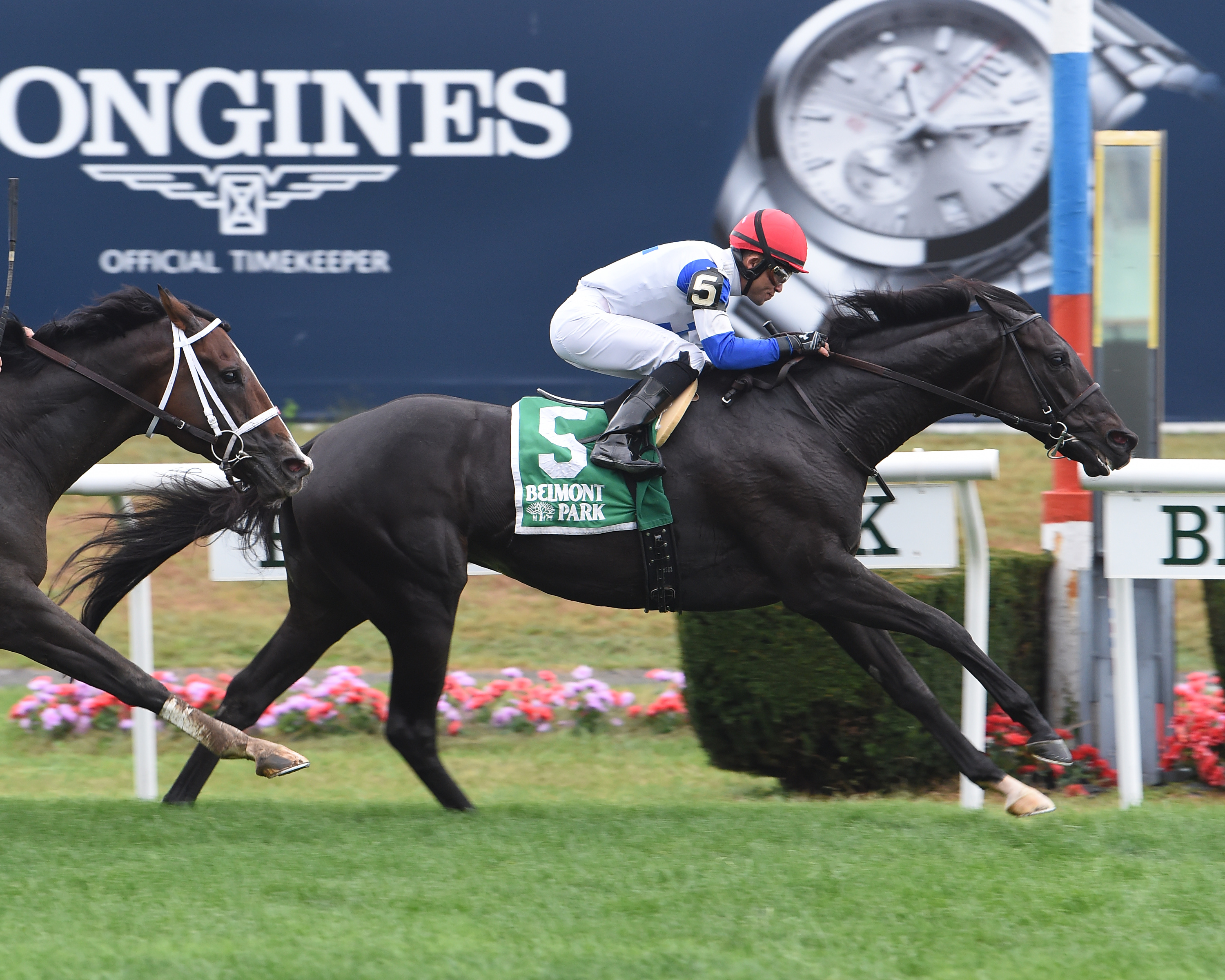 Blacktype wins the 2017 Knickerbocker Stakes