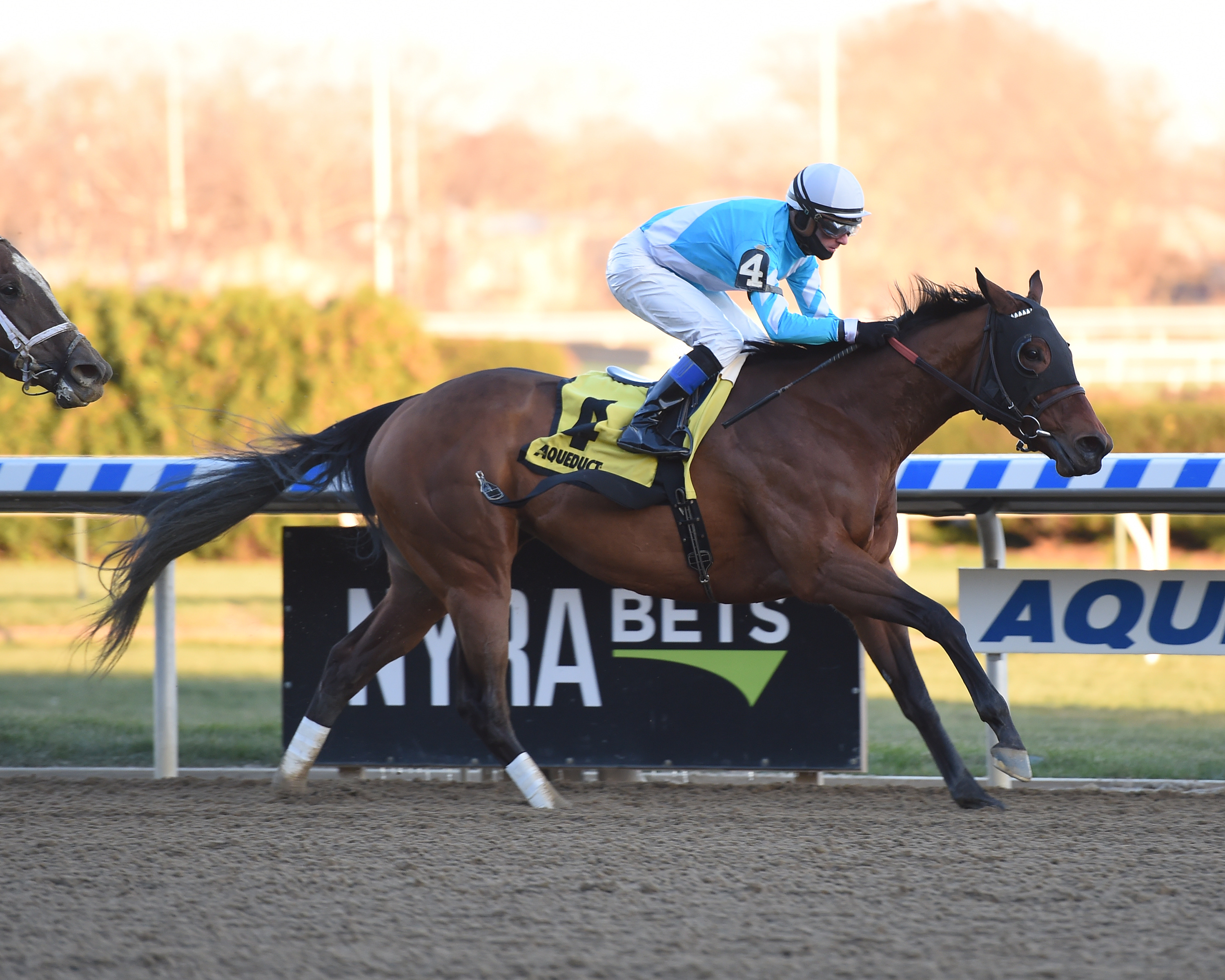 Blamed Comely Stakes