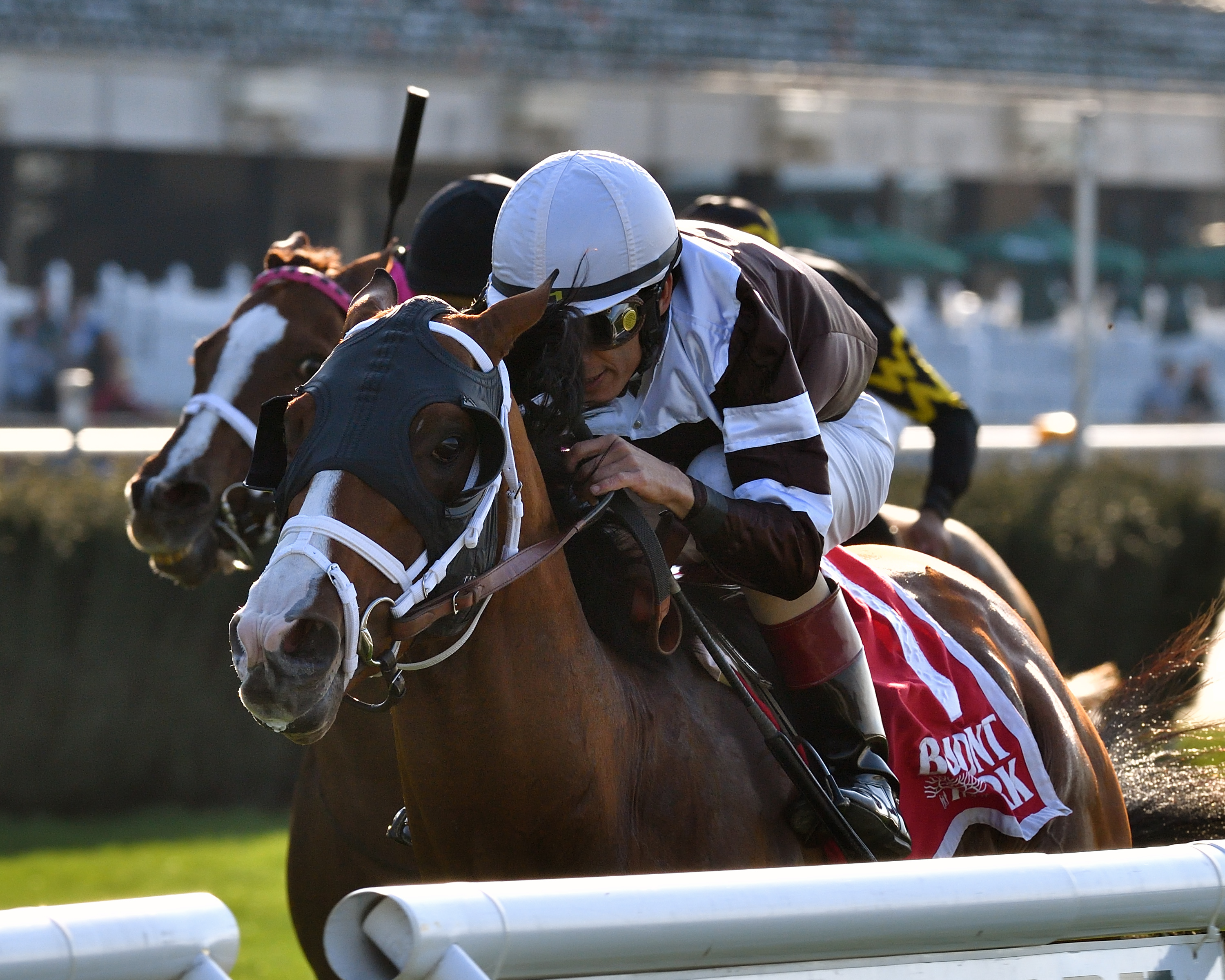Blind Ambition wins 2018 Elusive Quality