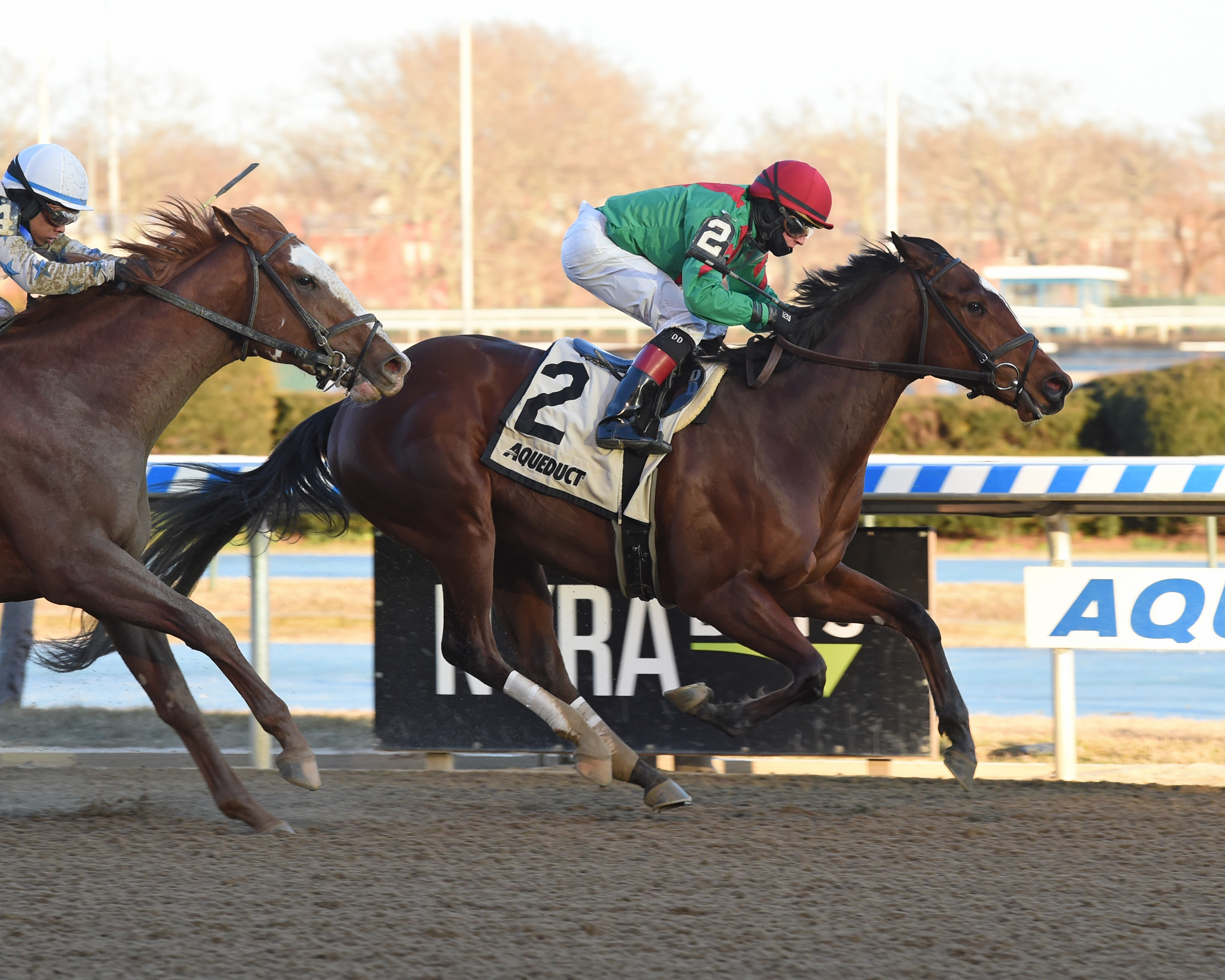 Blindwillie McTell wins 2019 Rego Park Stakes