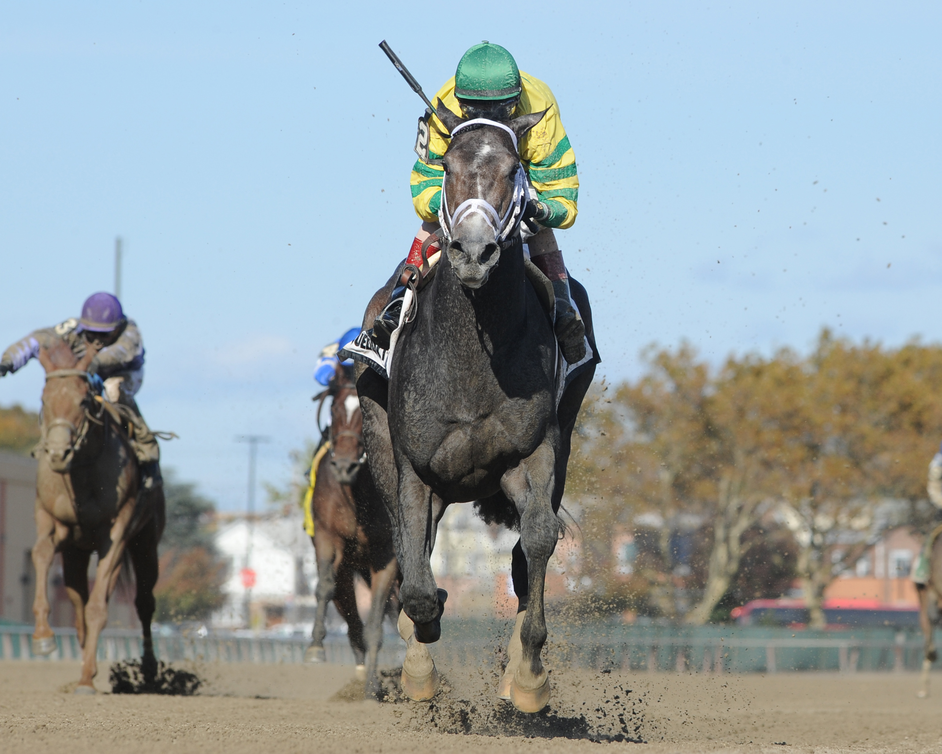Blofeld stays unbeaten by taking Nashua