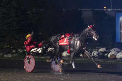 Bold Eagle 10/26/19
