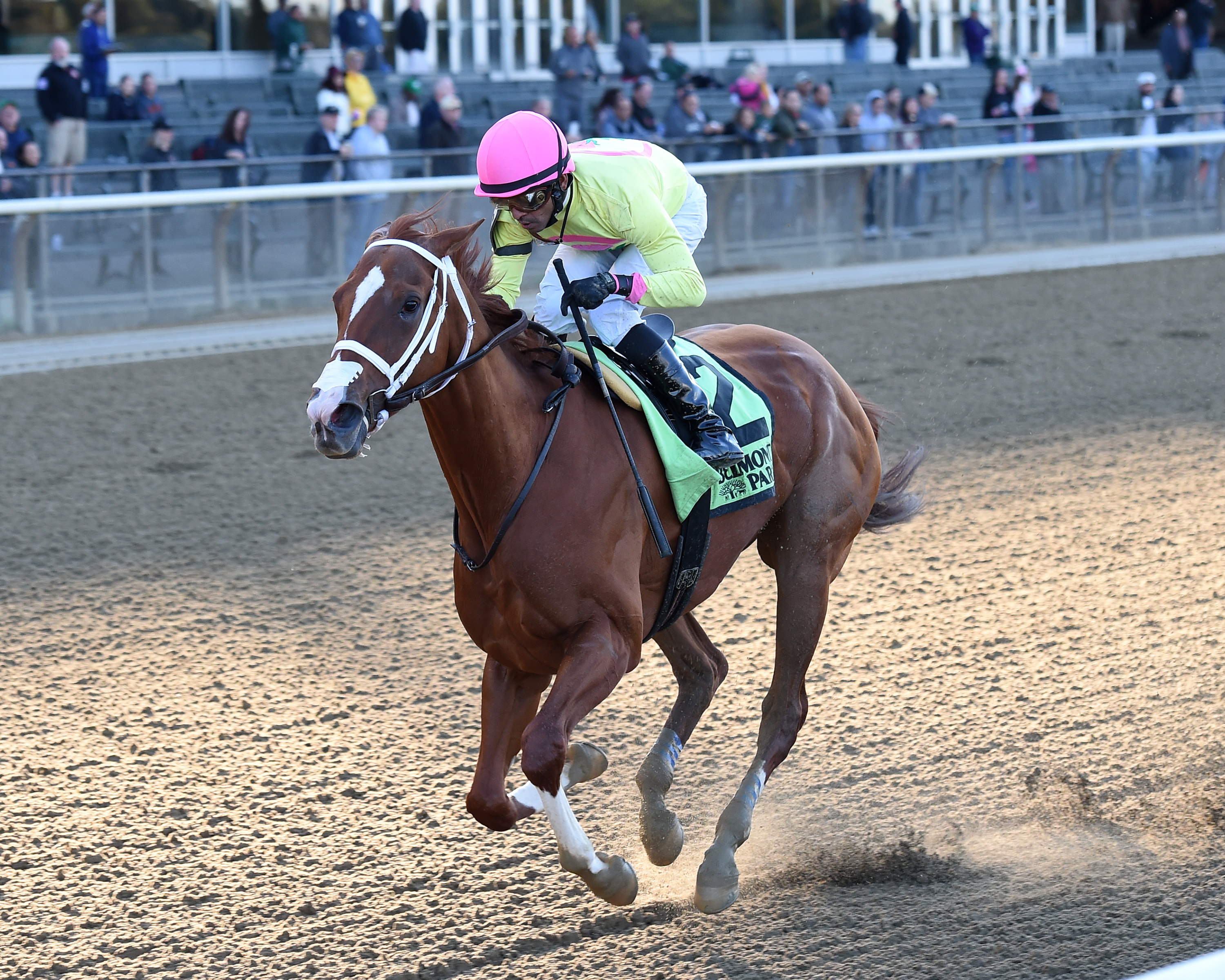 Bonita Bianca wins the 2018 Empire Distaff