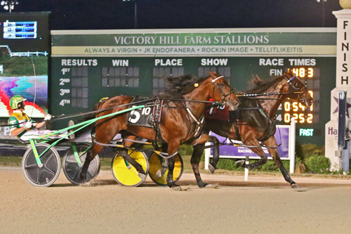 Boudoir Hanover 7-1-22