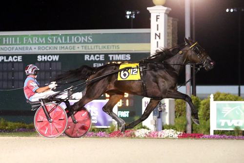 Brookview Bolt 7-29-21