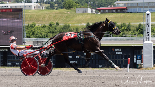 Dave Palone 6-25-22