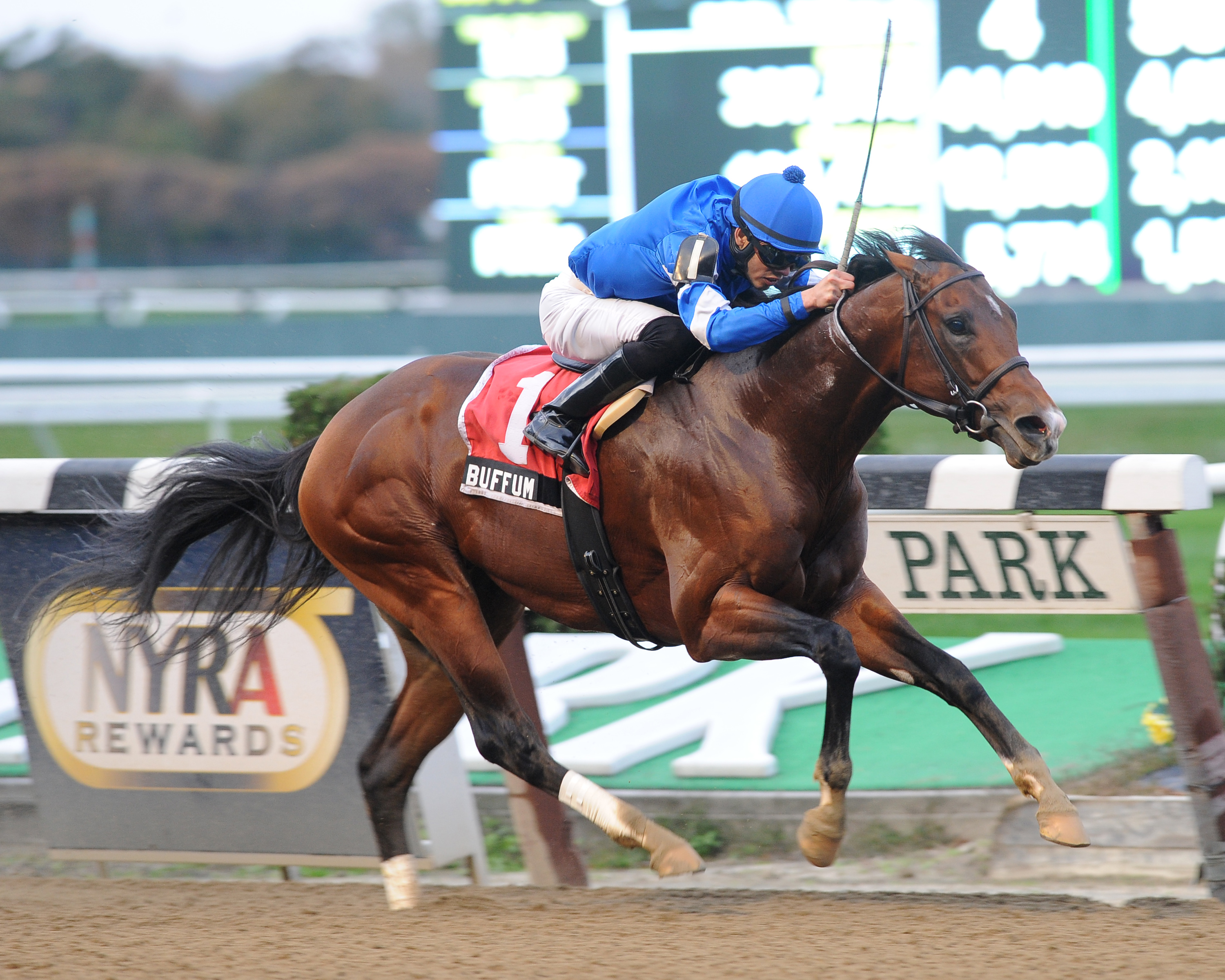 Buffum/Bold Ruler