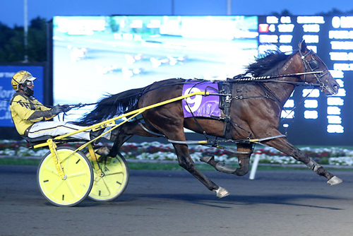 Bulldog Hanover 8/21/20