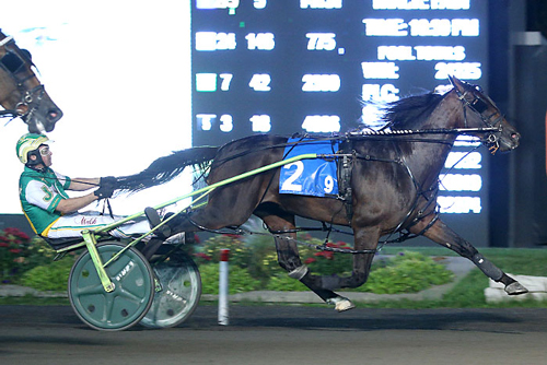 Bulldog Hanover 8-21-21