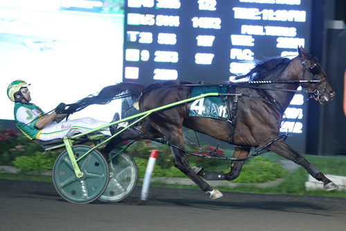 Bulldog Hanover 8-28-21