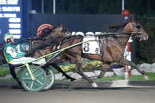 Bulldog Hanover 8-7-21