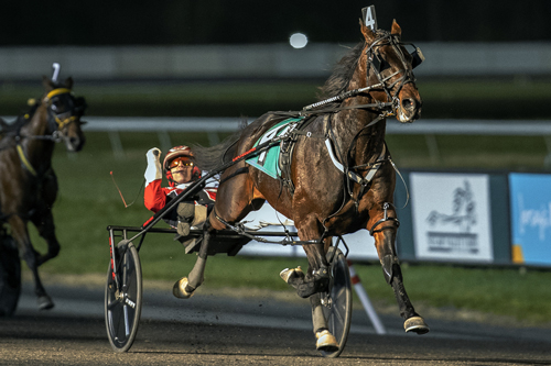 Bulldog Hanover 11-26-22
