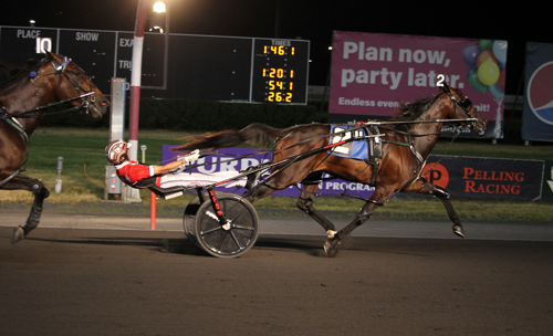 Bulldog Hanover 7-14-22