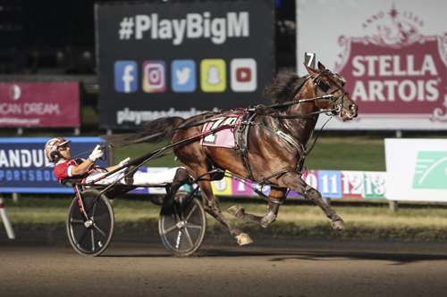 Bulldog Hanover 7-16-22