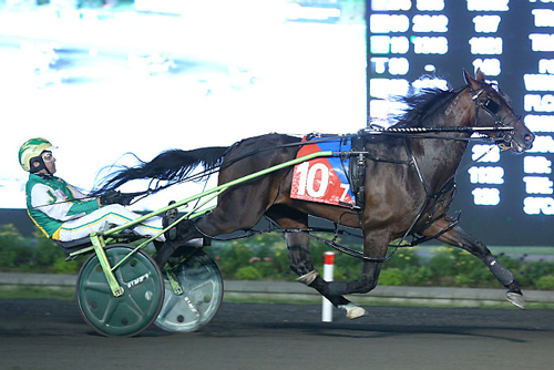 Bulldog Hanover 7-3-21
