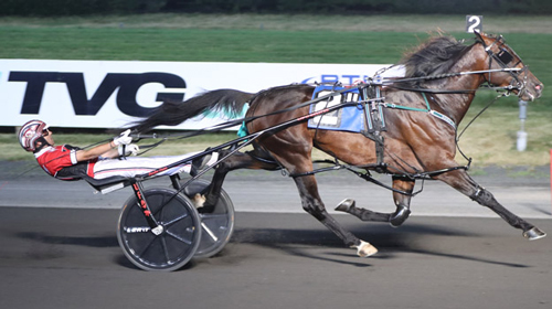Bulldog Hanover 7-9-22