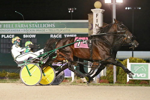 Bulldog Hanover 11-18-21