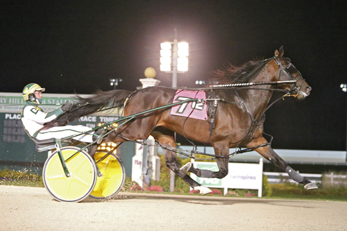 Bulldog Hanover 11-5-21
