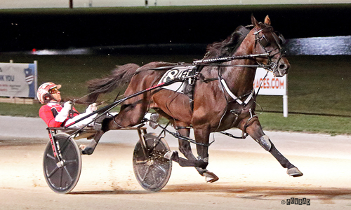 Bulldog Hanover 10-1-22