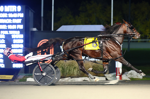 Bulldog Hanover 10-29-22