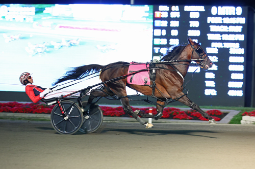 Bulldog Hanover 9-2-22